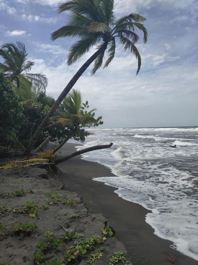 Budda Home Tortuguero Zewnętrze zdjęcie